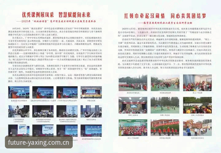 YAXING APP下载价值全面解析：2025官方入口的实战决策指南
